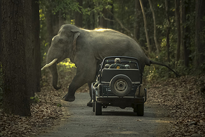 tiger safari in corbett